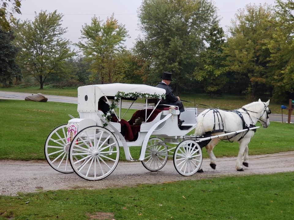 Jack & Jessi Donnelly wedding